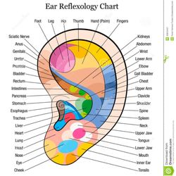 Ear reflexology.