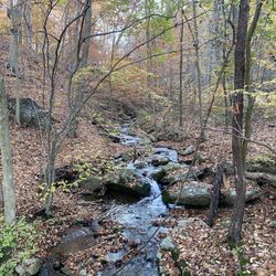 White Clay Creek State Park