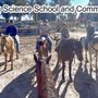 Photo of United Mustangs of America