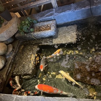 Mountain House - Koi pond - Szechuan Near Me - Rowland Heights, California Mountain House - Koi pond - Szechuan Near Me - Rowland Heights, California