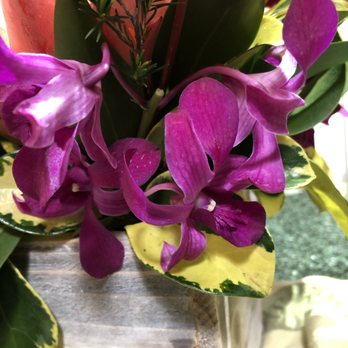 Maui Floral - Beautiful orchids - Flowers & Gifts Near Me - Makawao, Hawaii
