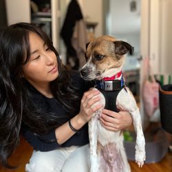 Korean K9 Rescue - With our 3rd foster Goonie !