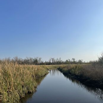 Ragin Cajun Airboat Tours - Boat Tours Near Me - Luling, Louisiana Ragin Cajun Airboat Tours - Boat Tours Near Me - Luling, Louisiana
