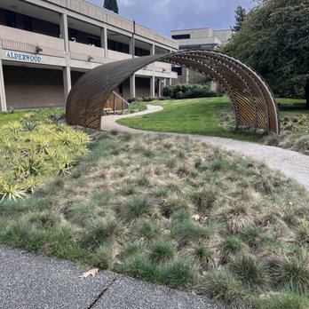 Edmonds College - Campus - Colleges & Universities Near Me - Lynnwood, Washington Edmonds College - Campus - Colleges & Universities Near Me - Lynnwood, Washington