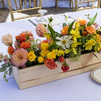 Serendipitous Events by Julia - Party & Event Planning Near Me - Lomita, California Serendipitous Events by Julia - Party & Event Planning Near Me - Lomita, California