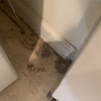 Proluxe Cleaning - Home Cleaning Near Me Proluxe Cleaning - Home Cleaning Near Me