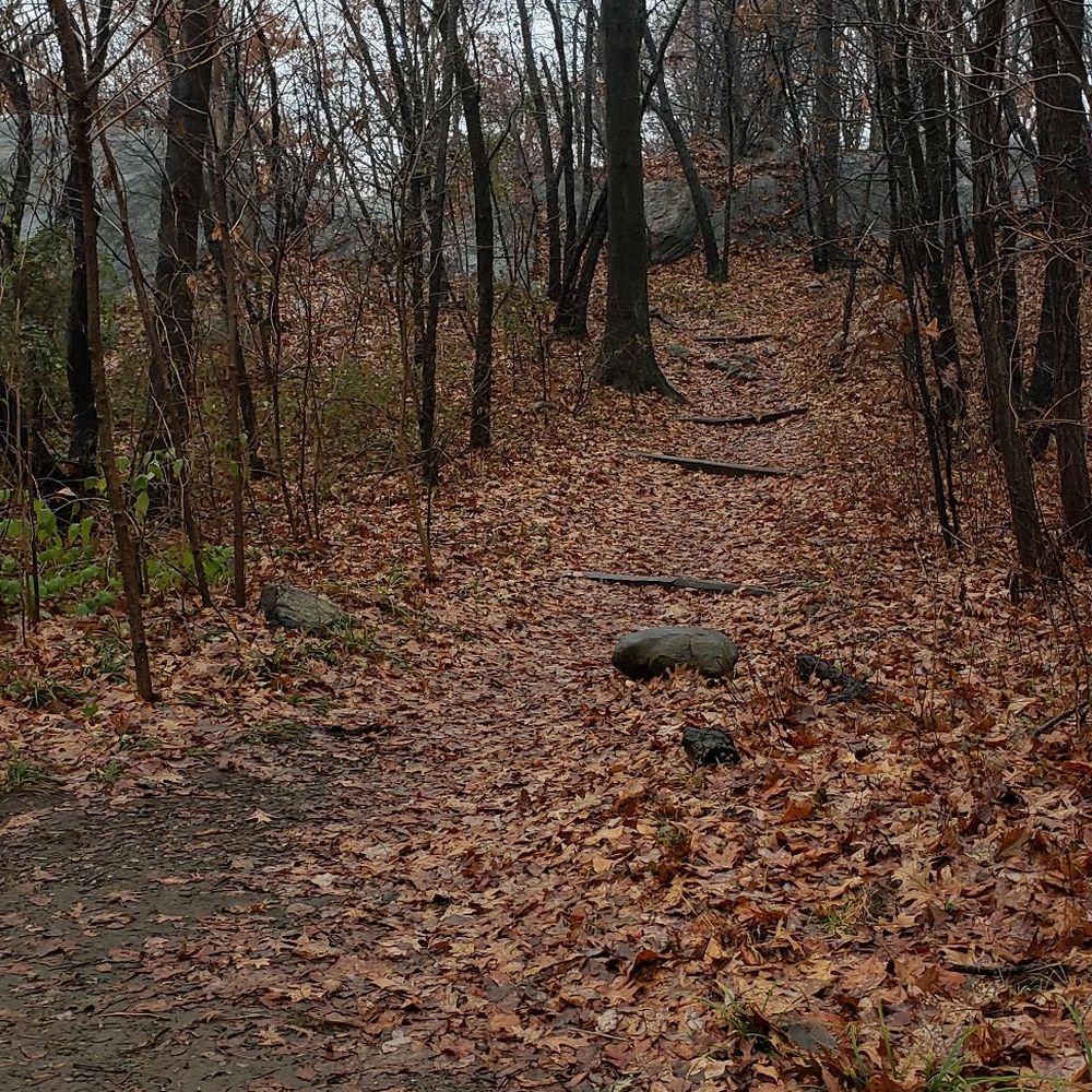 Van Cortlandt Park  - Parks Near Me - Bronx, New York