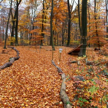 Kletterwald - Active Life Near Me - Langen, HE