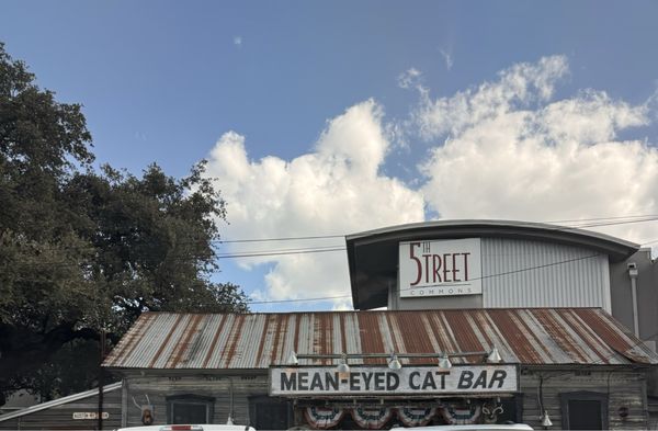 Mean Eyed Cat by null