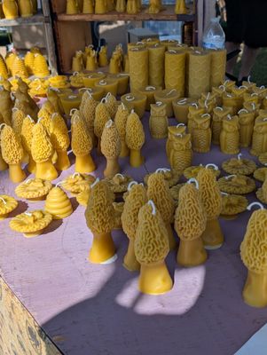 Hudson Valley Garlic Festival by null