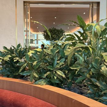 Capital One Lounge at JFK - Lounge area seating - Airport Lounges Near Me - Queens, New York