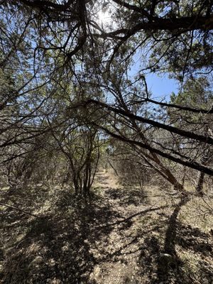 Government Canyon State Natural Area by null