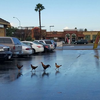 Denny's - Just got off work? - Diners Near Me - San Jose, California