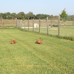 Squaw Creek Camping - HUGE dog park about a mile away!