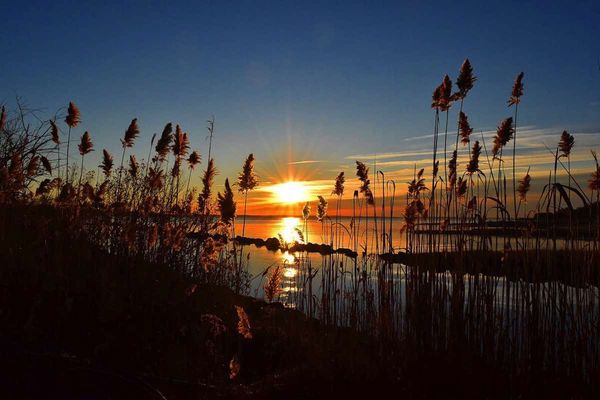 New York Institute of Photography by null