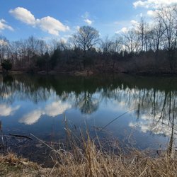 Dogwood Pond - Metro Park