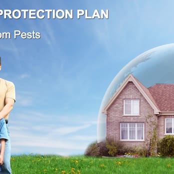 Pesticon - Award winning service - Pest Control Near Me - Toronto, Ontario Pesticon - Award winning service - Pest Control Near Me - Toronto, Ontario