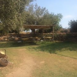 Il Baglietto - The Restaurant!