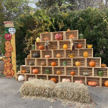 Mack's Apples - Pumpkin wall - Fruits & Veggies Near Me - Londonderry, New Hampshire
