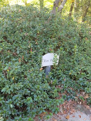 Cape Fear Botanical Garden by null