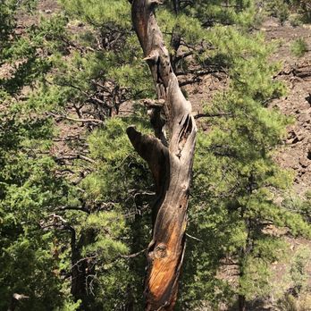 Ice Cave and Bandera Volcano - Hiking Near Me - Grants, New Mexico Ice Cave and Bandera Volcano - Hiking Near Me - Grants, New Mexico
