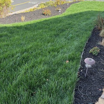 Social Spaces - Front lawn - Landscaping Near Me Social Spaces - Front lawn - Landscaping Near Me