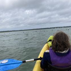 Paddle Cape Cod MA - Seal Pod at Nauset Marsh
