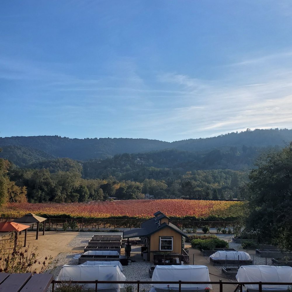 Martin Ranch Winery - Lookout to the vineyard - Wineries Near Me - Gilroy, California