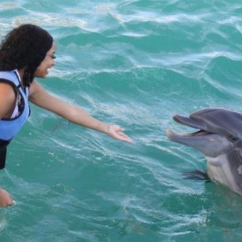 Coral World Ocean Park - Aquariums Near Me - St Thomas, Virgin Islands Coral World Ocean Park - Aquariums Near Me - St Thomas, Virgin Islands