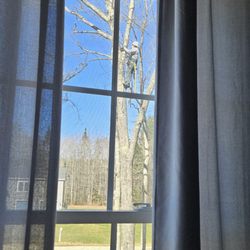 First Response Tree Solutions