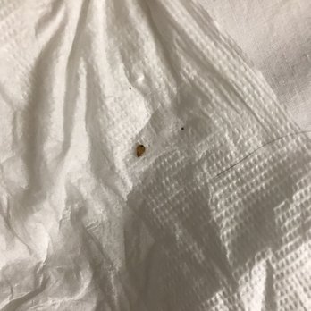 Rodeway Inn & Suites Canyon Lake I-15 - Bed bug!!!!! - Hotels Near Me - Canyon Lake, California Rodeway Inn & Suites Canyon Lake I-15 - Bed bug!!!!! - Hotels Near Me - Canyon Lake, California