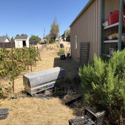True Oak Landscape Management