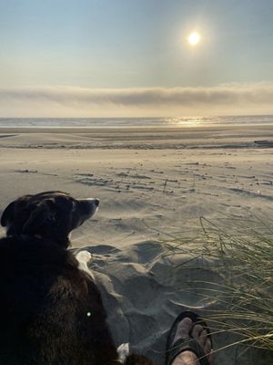 Grizzly Tuna by null