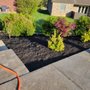 Photo of Alberto Alavez Professional Lawn Services