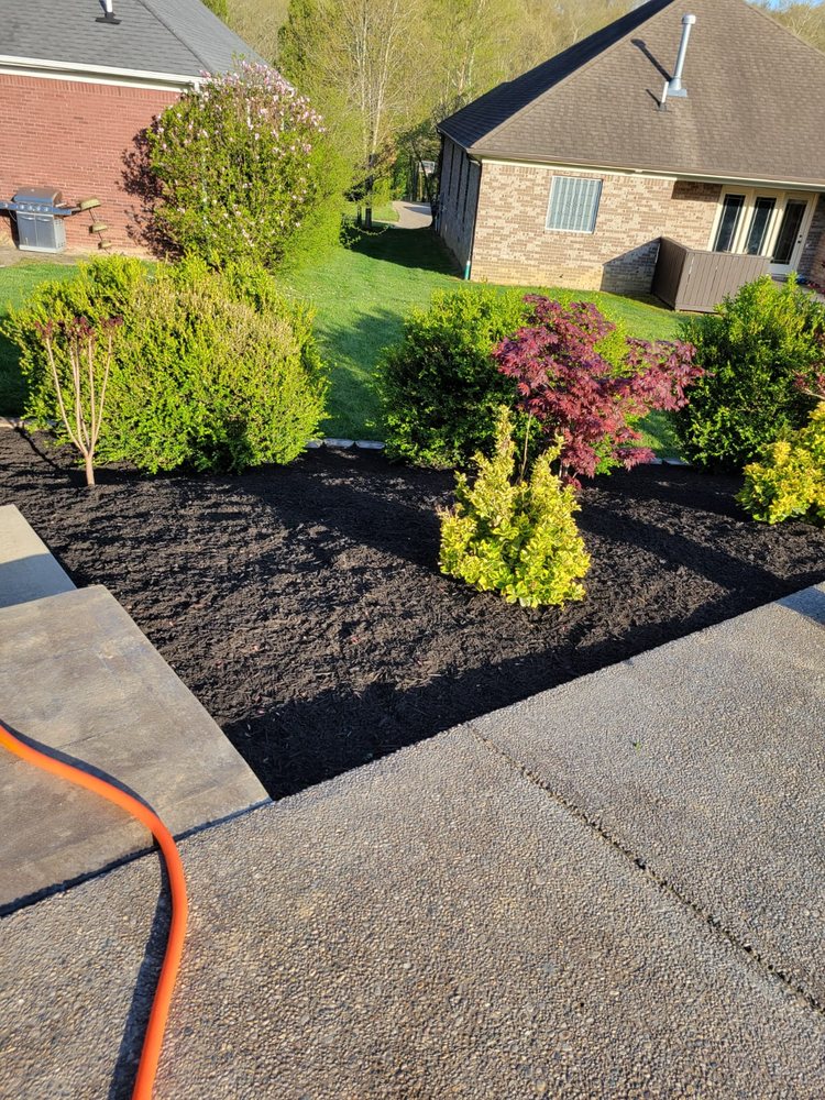 Alberto Alavez Professional Lawn Services - tree service in Louisville, KY