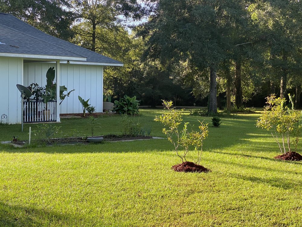INWOOD GARDENS Nurseries & Gardening 1640 N Collins Blvd, Covington