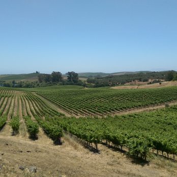 Napa Luxury Coach - Artesa Winery - Limos Near Me Napa Luxury Coach - Artesa Winery - Limos Near Me