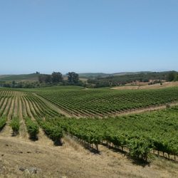 Napa Luxury Coach - Artesa Winery