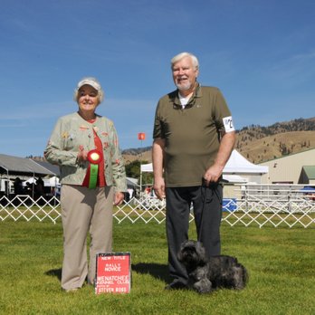 4 Paws DogWorks - Rally Novice Title - Pet Training Near Me - Richland, Washington 4 Paws DogWorks - Rally Novice Title - Pet Training Near Me - Richland, Washington