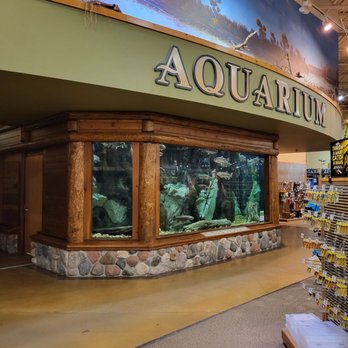 Cabela's - Guns & Ammo Near Me - Hazelwood, Missouri Cabela's - Guns & Ammo Near Me - Hazelwood, Missouri