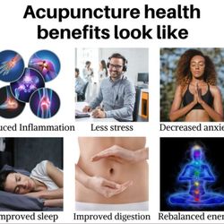 Acupuncture Practice of Robert F Lenahan