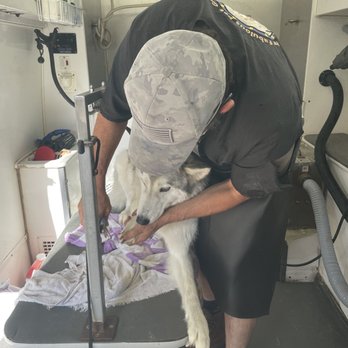 Curated visual reference: Fur Fabulous Mobile Pet Grooming Updated June 2026 Photo Inspiration