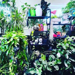 Grow Greenhouse