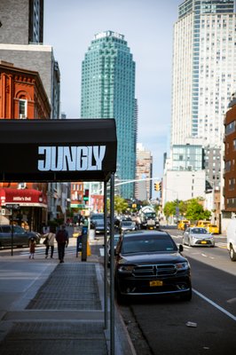 Jungly by null