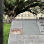 Photo of Candler Oak