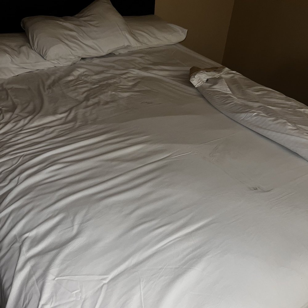 Tropicana Laughlin - A Caesars Rewards Destination - Black Stains on a bed I haven't even slept in yet - Hotels Near Me - Laughlin, Nevada Tropicana Laughlin - A Caesars Rewards Destination - Black Stains on a bed I haven't even slept in yet - Hotels Near Me - Laughlin, Nevada