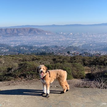 SWEENEY RIDGE - Updated January 2025 - 865 Photos & 189 Reviews - 3660 ...