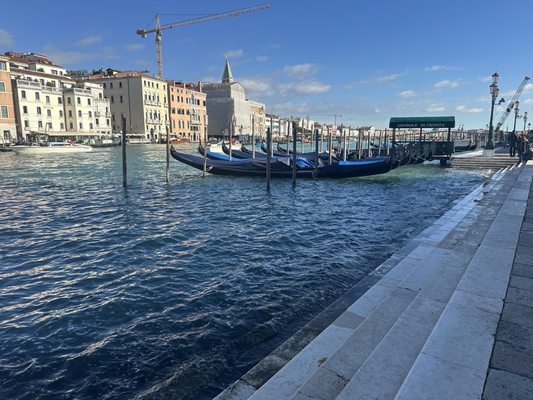 Basilica Santa Maria della Salute by null