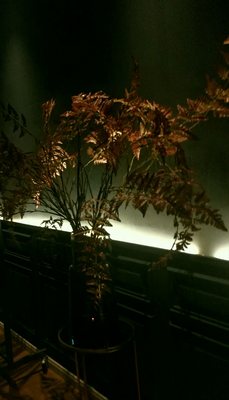 20° RESTOBAR by null