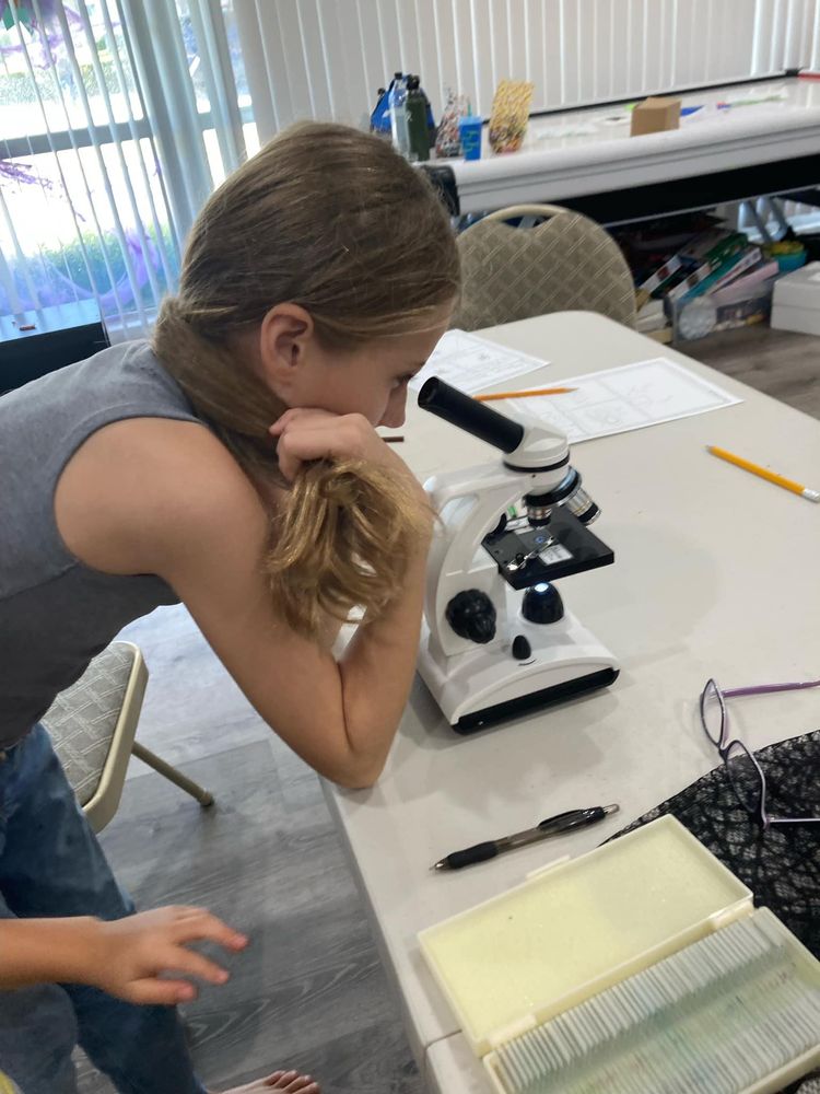 Elite Tutoring Specialists - reading tutor in Boca Raton, FL